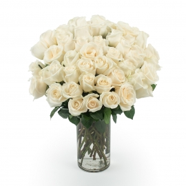 One Dozen White Roses