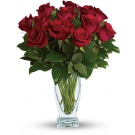  Anniversary Premium Dozen Red Roses