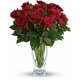  Anniversary Premium Dozen Red Roses