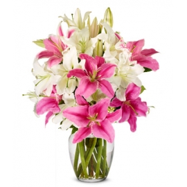 Stunning Pink and White Lilies