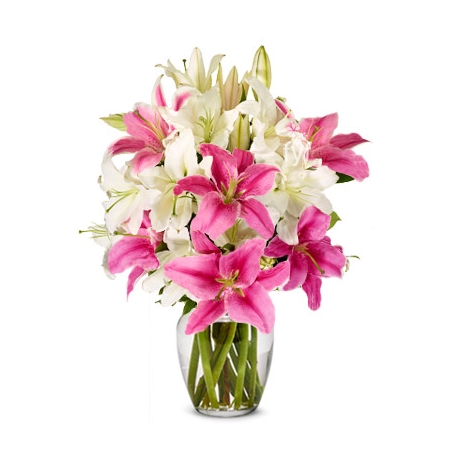 Stunning Pink and White Lilies