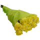 12 Long Stem Yellow Roses