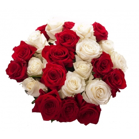 RED WHITE ROSES BOUQUET FLOWERS