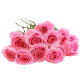 Bouquet of Long Stemmed Pink Roses Gift