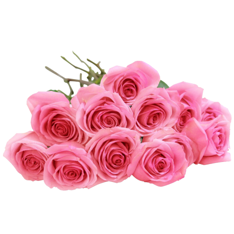 Bouquet of Long Stemmed Pink Roses Gift