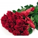 Red Roses Malcolm Arrangement