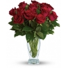  Anniversary Premium Dozen Red Roses