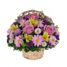 Basket of Love Flower Gift